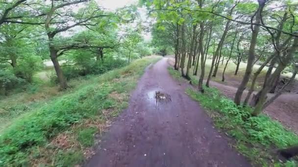 Caminar Suave Naturaleza Con Niños Sin Ellos Cuando Quiere Mostrar — Vídeos de Stock