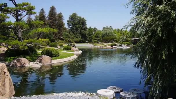 Japanese Garden Pond Los Angeles — Stock Video