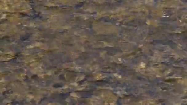 Крупный План Ручьев Реки Олентанги Огайо — стоковое видео