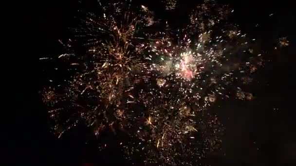 Feuerwerk Juli — Stockvideo