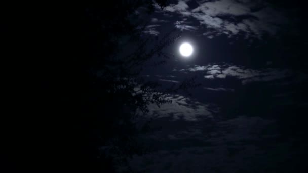 Полнолуние Ночью — стоковое видео