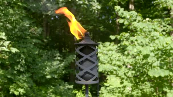Tiki Torch Filmed Sony A7Sii 120Fps Exported 98Fps Stabilized Glidecam — Stock Video