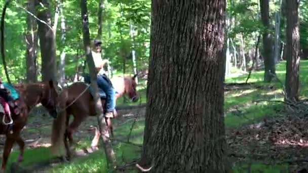 Kamera Steadicam Porusza Się Obok Starszego Mężczyzny Prowadzącego Konie Dziewczynkami — Wideo stockowe