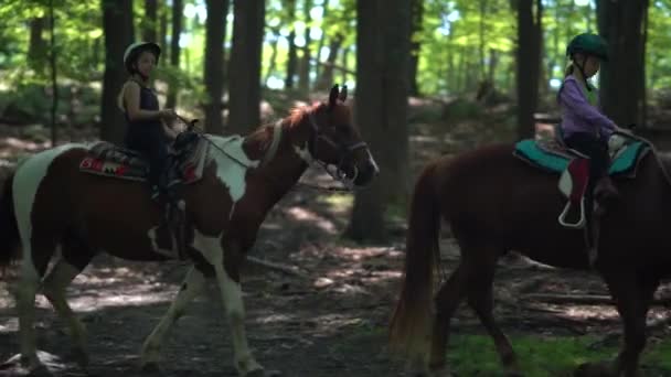 Une Petite Fille Sur Cheval Peint Regarde Directement Caméra Alors — Video