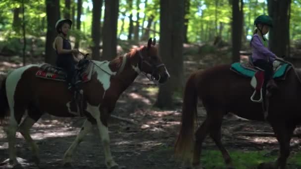 A little girl on a painted horse looks directly at the camera as she handles her horse down a forest trail.