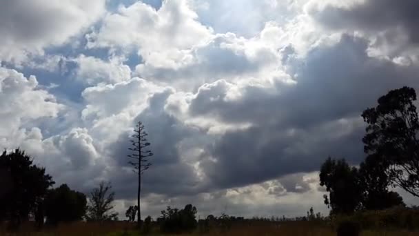 Timelapse Snel Bewegende Wolken — Stockvideo