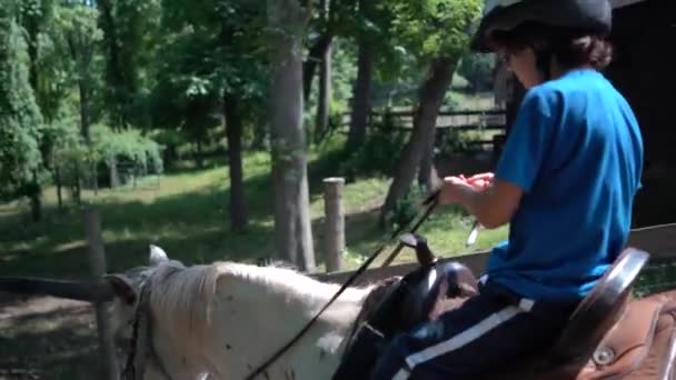 Closeup Little Boy Riding Horse Trail Morning Light — Stock Video