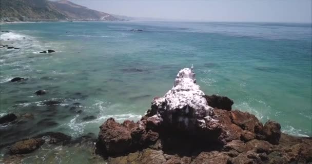 Dolly Aéreo Uma Gaivota Solitária Uma Rocha Oceânica Califórnia — Vídeo de Stock