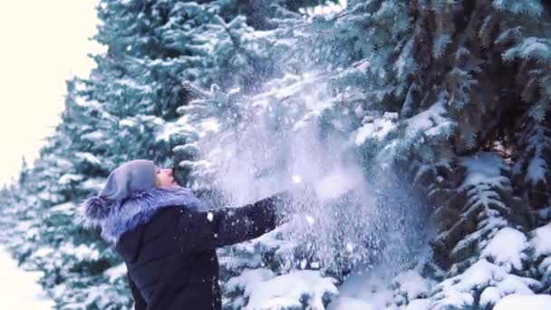 スローモーション 冬公園で少女に触れる木の雪 木の枝から落ちる雪 — ストック動画