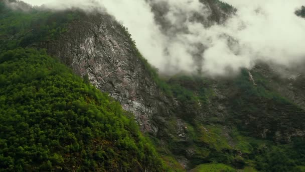 Hermoso Fiordo Noruega Verano Uno Los Preciosos Fiordos Del Mundo — Vídeos de Stock