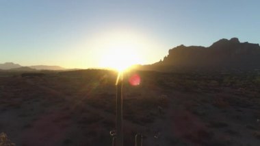 4K Desert Sunrise with Sun Around Saguaro Kaktüs with Birds Flying