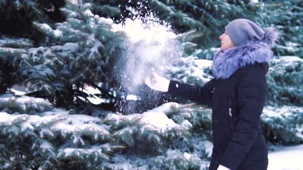 Paisagem Inverno Tiro Câmera Lenta Neve Cai Lentamente Parque Inverno — Vídeo de Stock