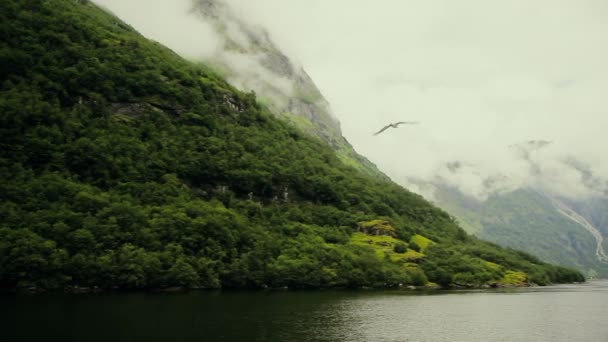 Hermoso Fiordo Noruega Verano Uno Los Preciosos Fiordos Del Mundo — Vídeo de stock