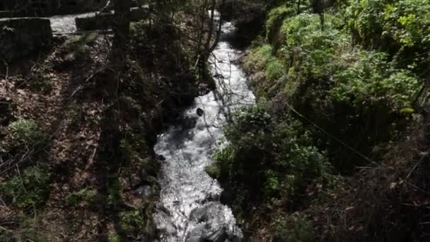 Vidsträckt Utsikt Över Strömmande Bäck Skog — Stockvideo