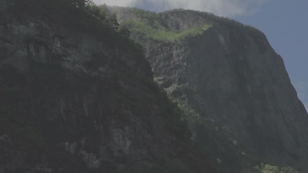 Vackra Fjorden Norge Flytta Längs Ansiktet Spårning Skott Log — Stockvideo