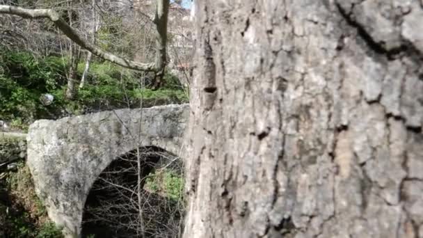 Pan Revelar Desde Tronco Árbol Hermoso Puente Piedra Arqueada Bosque — Vídeos de Stock