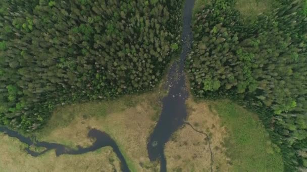 Vista Aérea Del Río — Vídeo de stock