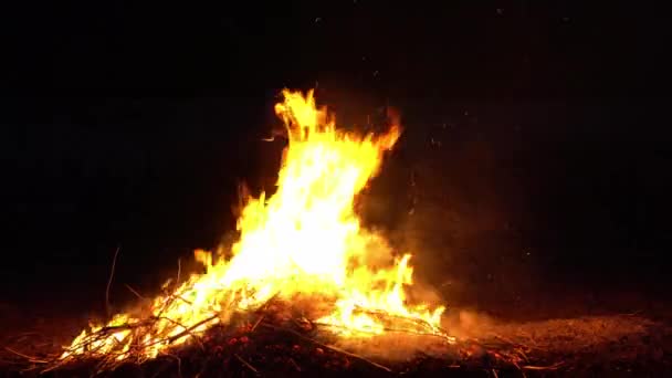 Arderea Focului Natură Flăcări Luminoase — Videoclip de stoc