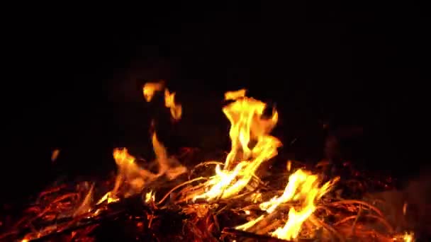 Καίγοντας Πυρκαγιά Στη Φύση Φωτεινές Φλόγες — Αρχείο Βίντεο