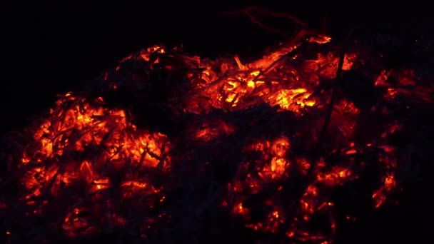 Kohlen Feuer Hautnah — Stockvideo
