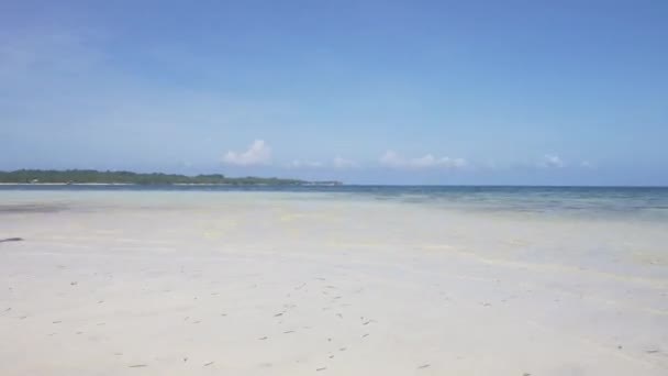 Tir Cardan Stable 60P Sur Une Plage Calme Ensoleillée Panoramique — Video