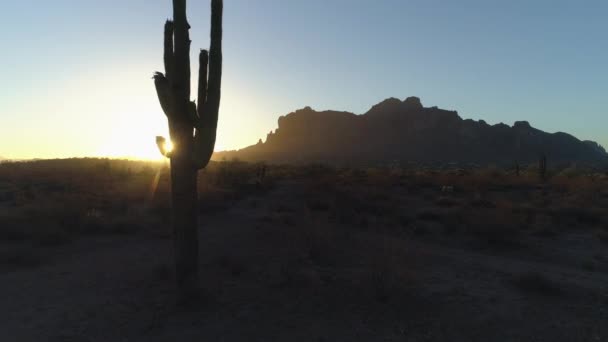 Desert Sunrise Sun Peaking Iconic Saguaro Cactus — стокове відео