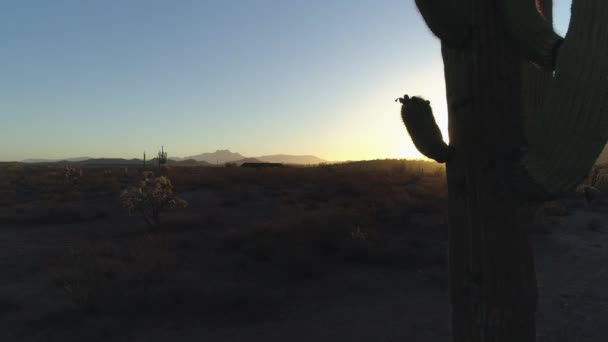 4K Desert Sunrise with Sun Peaking Around Saguaro Cactus Zoom Out