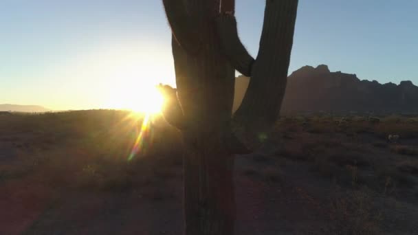 Salida Del Sol Del Desierto Con Sol Que Alcanza Punto — Vídeo de stock