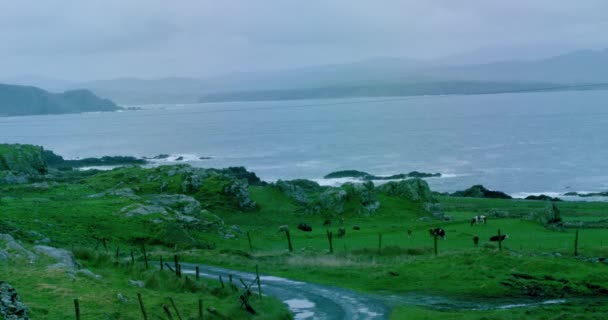 Timelapse Della Bellissima Costa Irlandese Durante Una Tempesta Pioggia — Video Stock