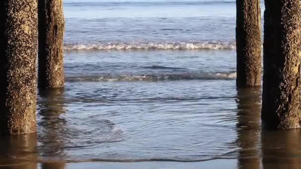 Olas Rodando Entre Cuatro Postes Del Muelle — Vídeos de Stock