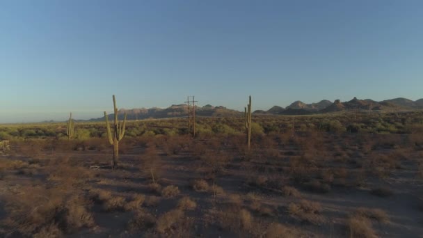 Aerial Classic Arizona Sonoran Desert Con Saguaro Cacti Amanecer — Vídeo de stock