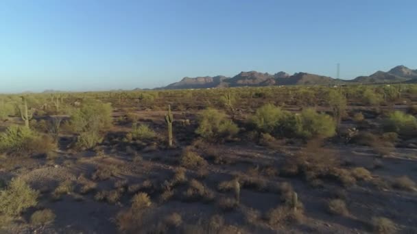 Aérea Del Clásico Desierto Sonorense Arizona Amanecer Con Montañas Superstición — Vídeo de stock