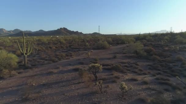4K具有电力线路的艾科尼克亚利桑那州索诺兰沙漠上空 — 图库视频影像