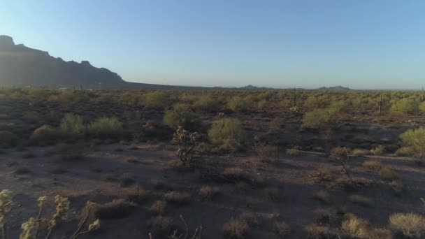 Aérea Del Icónico Desierto Sonorense Arizona Con Montañas Superstición — Vídeos de Stock