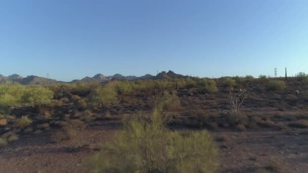 Antenne Van Iconische Arizona Sonoran Desert Met Close Fly — Stockvideo