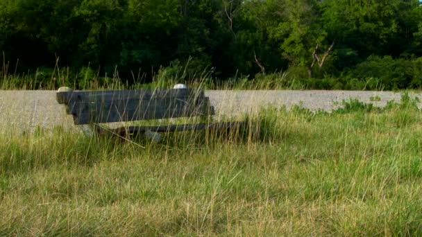 Una Panchina Abbandonata Campo Con Erba Alta Abbattuto — Video Stock