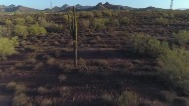 サガロ サボテンと象徴的なアリゾナ ソノラン砂漠の4K空中 — ストック動画
