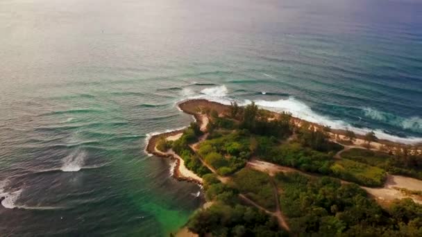 Luftaufnahme Eines Strandes Auf Der Insel Honolulu — Stockvideo