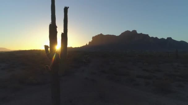 Desert Sunrise Sun Peaking Saguaro Cactus Superstition Mountains — Wideo stockowe