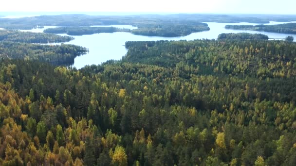 Vista Aérea Del Hermoso Lago Medio Del Bosque — Vídeos de Stock