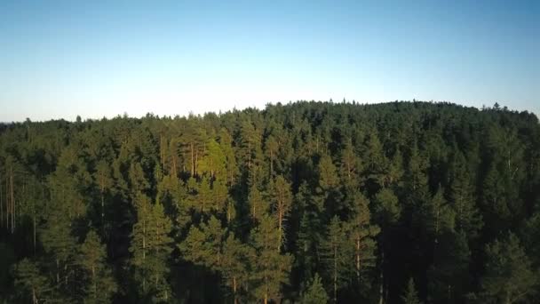 Volare Sopra Una Foresta Verso Mare — Video Stock
