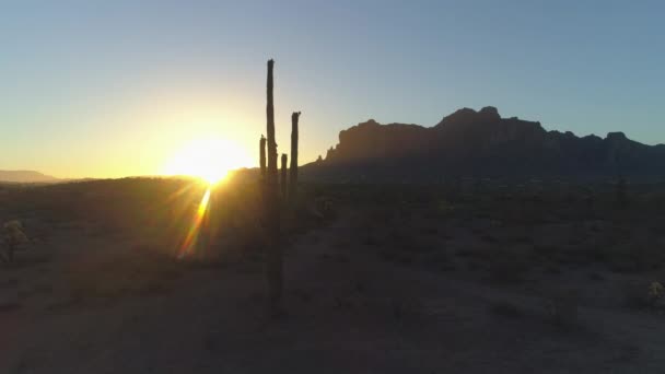 Désert Lever Soleil Avec Soleil Culminant Travers Cactus Saguaro Par — Video