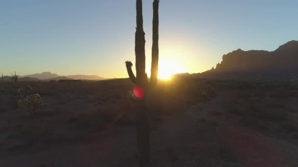 Salida Del Sol Del Desierto Con Sol Que Alcanza Punto — Vídeo de stock