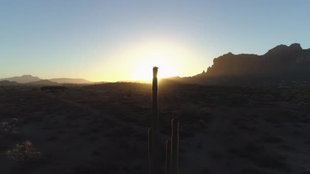 Ηλιοβασίλεμα Στην Έρημο Τον Ήλιο Κορυφώνεται Μέσα Από Τον Κάκτο — Αρχείο Βίντεο
