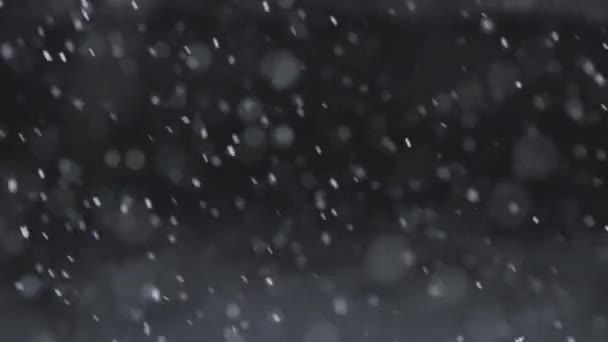 Snow Falling Slow Motion Dark Background — Stock Video