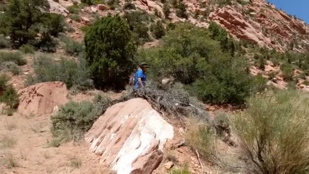 Woman Hiking Badlands South Dakota — Stock Video