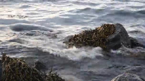 Волны Мирно Бьют Скалам — стоковое видео