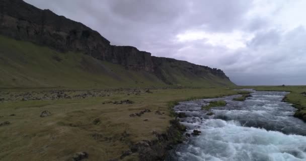 Zdjęcie Lotnicze Rzeki Piękną Górą Islandii Widzianej Przez Drona — Wideo stockowe