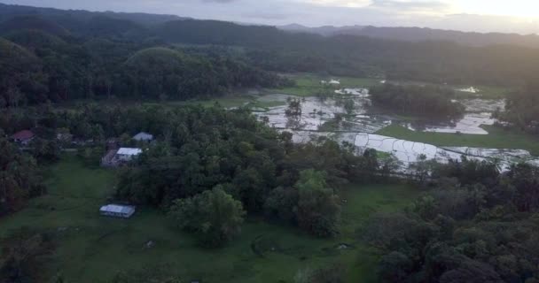 Luftbild Von Chocolate Hills Und Reisterrassen Bohol Cebu Philippinen — Stockvideo