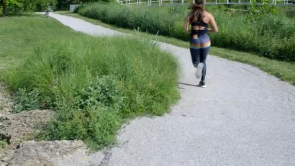 Χιλιετηρίδα Αθλήτρια Τρέχει Ένα Μονοπάτι Προς Μια Γέφυρα — Αρχείο Βίντεο